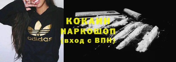 шишки Олёкминск