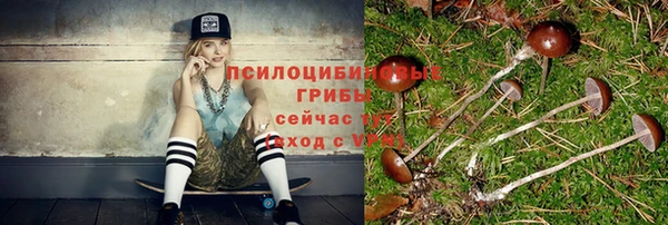 соль ск Нязепетровск