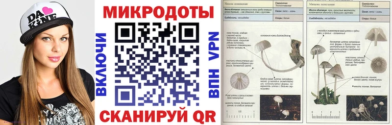 Галлюциногенные грибы Cubensis  гидра как зайти  Хотьково 